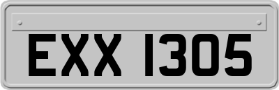 EXX1305