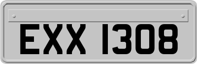 EXX1308