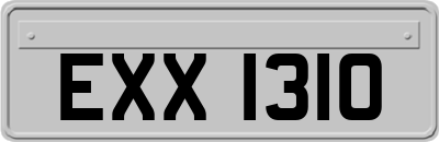 EXX1310