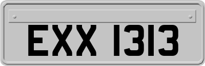 EXX1313