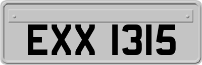 EXX1315
