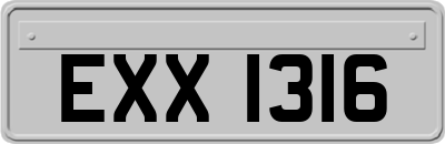 EXX1316