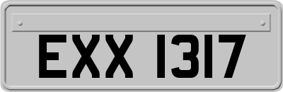 EXX1317