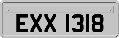 EXX1318