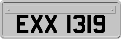 EXX1319