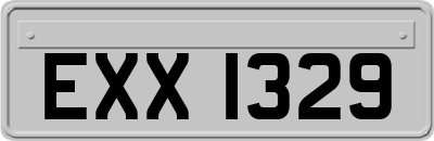 EXX1329
