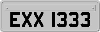 EXX1333