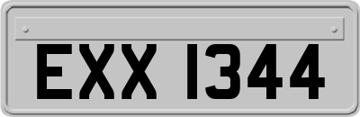 EXX1344