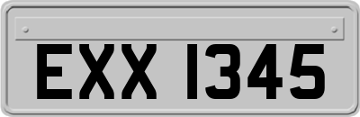 EXX1345