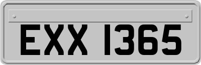 EXX1365