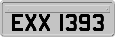 EXX1393