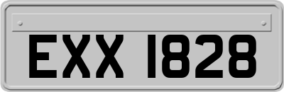 EXX1828