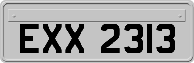 EXX2313
