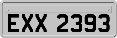 EXX2393