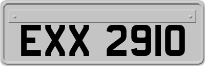 EXX2910