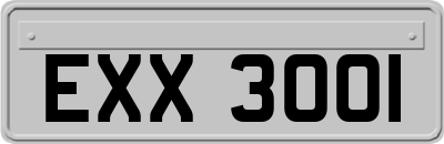 EXX3001
