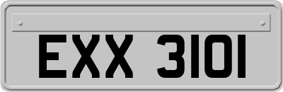 EXX3101