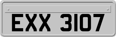 EXX3107