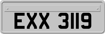 EXX3119
