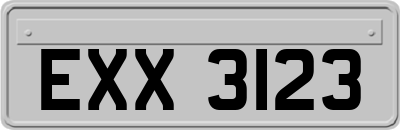 EXX3123