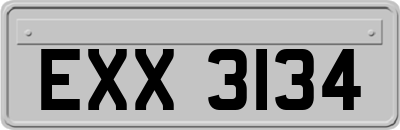 EXX3134