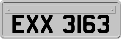 EXX3163