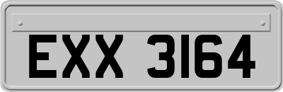 EXX3164