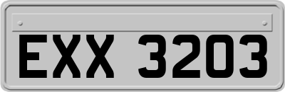 EXX3203