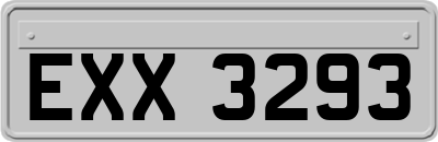 EXX3293