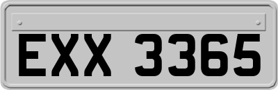 EXX3365