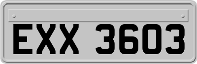EXX3603