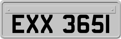 EXX3651