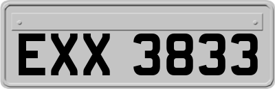 EXX3833