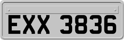EXX3836
