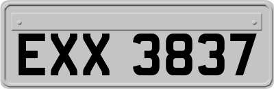 EXX3837