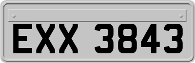 EXX3843