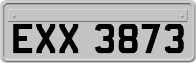 EXX3873