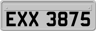 EXX3875