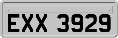 EXX3929