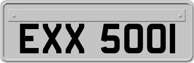 EXX5001