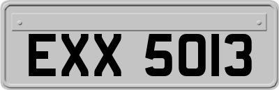 EXX5013