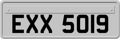 EXX5019