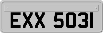 EXX5031