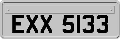 EXX5133