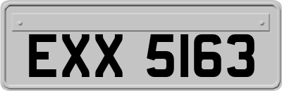 EXX5163