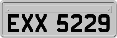 EXX5229