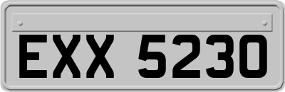 EXX5230