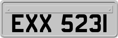 EXX5231