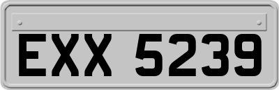 EXX5239