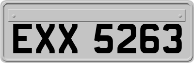 EXX5263
